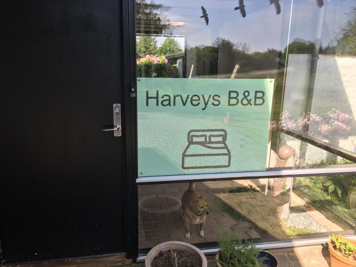 Harvey'S Bed & Breakfast Hjørring Екстериор снимка